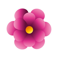 cute flower pink color isolated icon vector illustration design