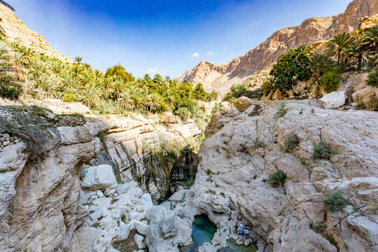 Wadi Tiwi water spring and waterfall, Oman - Water spring, waterfall and eroded canyon surrounded by palm trees oasis in Oman.
