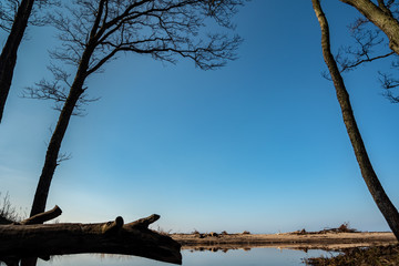 Small river flowing to the Baltic sea.