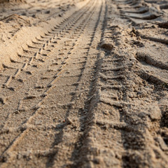 Print of wheel on a sand road.
