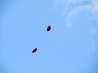 two red heart shaped balloons fly into the sky
