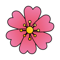 cute flower pink color isolated icon vector illustration design