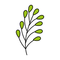 branch with leafs natural isolated icon vector illustration design