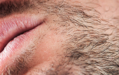 young man's chin skin texture covered with hair and beard bristles of different color and length