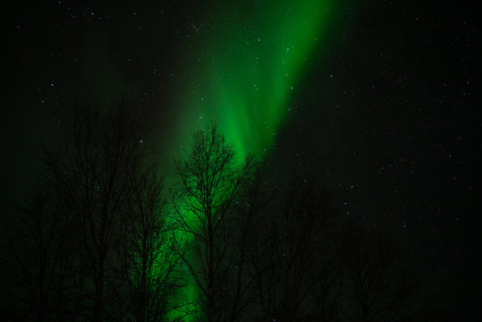 northern lights in utsjoki, finland.