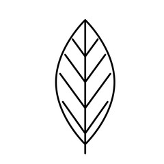 leaf nature ecology line style icon vector illustration design