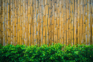 bamboo wall and trees.Natural background and free space to insert text.