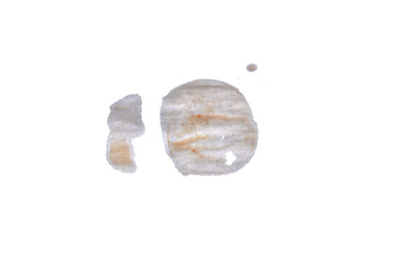 wet spot isolated on white background