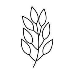 branch with leafs natural line style vector illustration design
