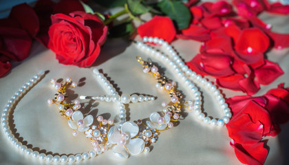 Beauty details for fashionable women. Hair accessories for ladies