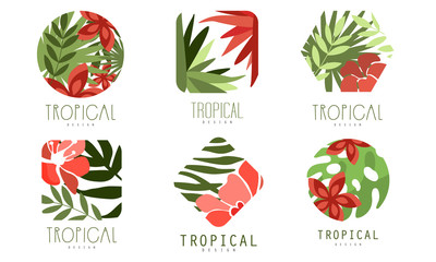 Geometric Tropical Logo Design Collection with Exotic Leaves and Red Flowers Vector Illustration