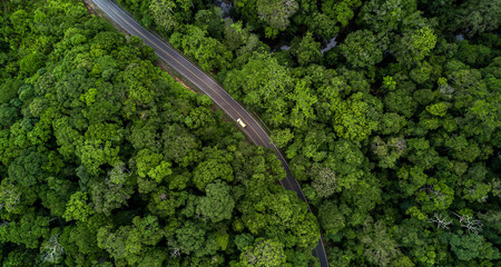 Aerial view asphalt road and green forest, Forest road going through forest with car adventure view...