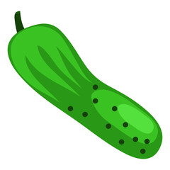 Vector illustration of cucumber icon flat design.  Illustration of a cucumber, icon, isolated object on a white background. Vegetarianism, healthy food, organic vegetables . For books, magazines