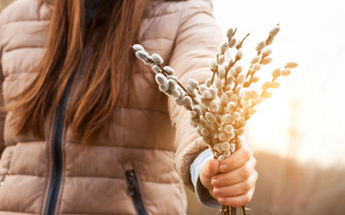 Woman holding in hand bunch of pussy-willow on the sun © SkyLine