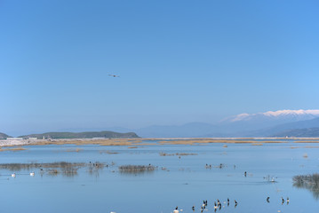 Naklejka premium lake Karla , Greece , wild flora and fauna, in a protected ecological environment