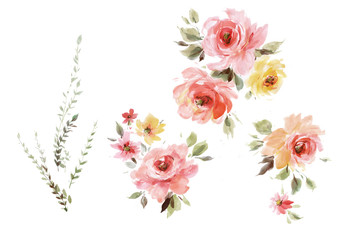 Flowers watercolor illustration.Manual composition.Big Set watercolor elements.