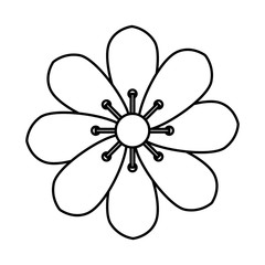 cute flower natural line style icon vector illustration design