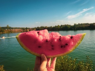 watermelon on field