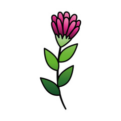 Obraz premium cute flower purple with branch and leafs isolated icon vector illustration design