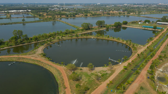 Aerial view from flying drone of Fish pond, fish farm
