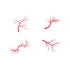 Set Veins icon Vector Illustration desigs