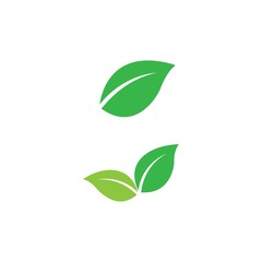 Leaf icon Vector Illustration design