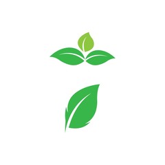 Leaf icon Vector Illustration design