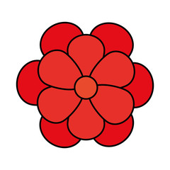 cute flower red color isolated icon vector illustration design