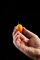 Kumquat , small oval citrus fruits, nagami variety