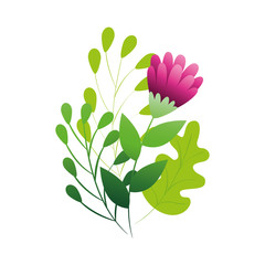 cute flower purple color with branches and leafs vector illustration design