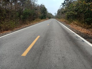 Naklejka premium Asphalt road in the forest reserve In the region of Asia