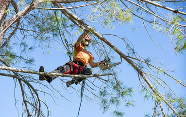 pruning a tree
