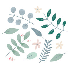 Vector foliage, collection of botanical elements, leaves, branches and flowers of various plant, modern hand drawn illustration isolated on white background, muted colors, herbarium art 