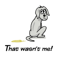 Obraz premium dog with pee and the text that wasn't me