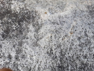 gneiss texture 4