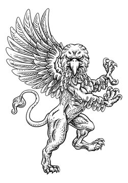 A griffin also known as a gryphon or griffon with lion body, wings and eagle head. Rampant standing on hind legs coat of arms crest mascot