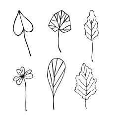 Set of different branches with leaves, vector illustration