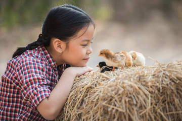 happy little girl with of small chickens sitting outdoor. portrait of an adorable little girl,...