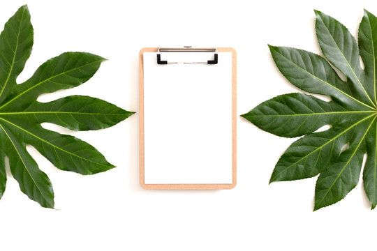 Green Aralia Leaves And Clipboard Mockup With Blank Paper