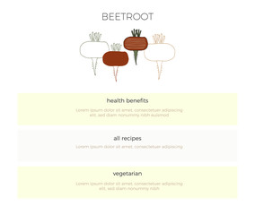 Vegetables. Vector hand drawn beetroots. For healthy nutrition companies, vegetarians, vegans.