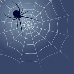 Background with spider silhouette and web.