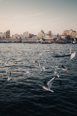 view of old city of Dubai