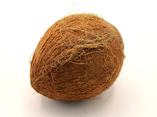 Coconut closeup isolated on white background