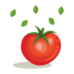 fresh tomato vegetable with leafs vector illustration design