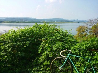 Bike buried in the grass against the backdrop of the river