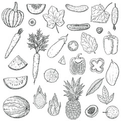 Fototapeta premium Set of fruits and vegetables. Vector cartoon illustration. Isolated objects on a white background. Hand-drawn style. Vegetarian food.