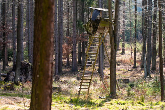 Wooden hunters high seat in forest, Czech Republic