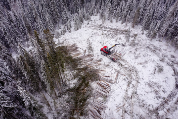 Sustaineable timber harvesting in Norway during wintertime, drone photo