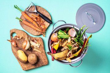 Recycle kitchen waste. Sustainable and zero waste living. Vegetable waste in recycling compost pot....