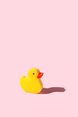 Yellow toy duck sponge or washcloth on pink background. Trendy beauty bathtime wellness hygiene photography. Bath products set, creative modern banner or flyer with copy space